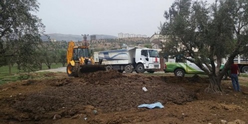 Vektörle Mücadele Çalışmaları Devam Ediyor
