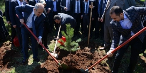 Dulkadiroğlu Belediyesi`nden Kutlu Doğum Hatıra Ormanı