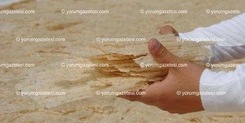 ``Yazın çerezi, kışın çorbası`` 