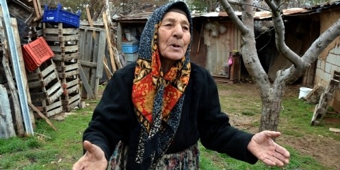 Yaşlı çiftin oğlakları çalındı