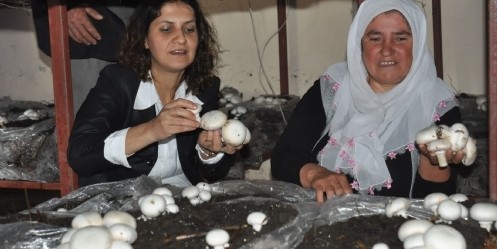 Eşi İşsiz Kadın, Hem İşinin Hemde Eşinin Patronu Oldu