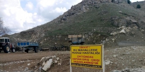 Kuduz Karantinası