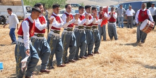 Hububat Hasat Bayramı