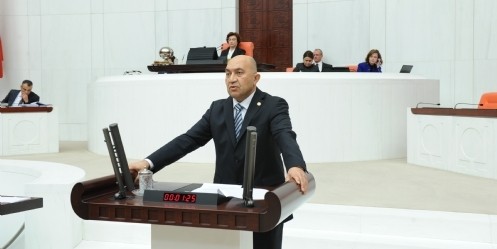 Ramazanoğlu, Bütçe görüşmelerinde konuştu