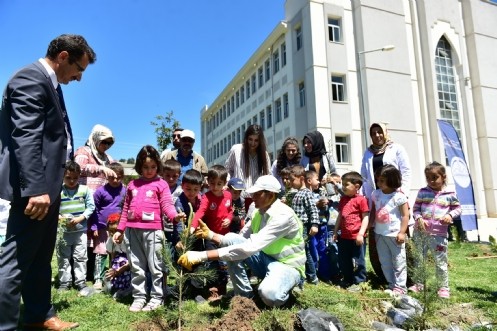 Dulkadiroğlu`nun Fidanları Anneler İçin Dikildi