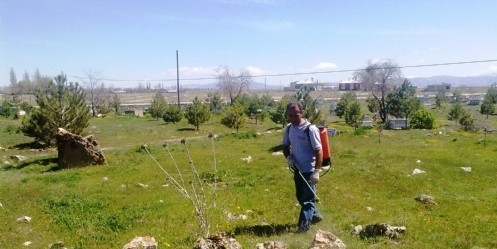 Elbistan`ın çiçek köyünde bahar temizliği