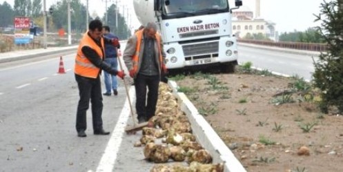 Yola Dökülen Pancar Ulaşımı Aksattı