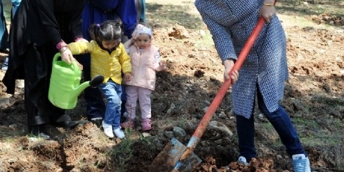 Kapıçam mesire alanına fidan dikimi