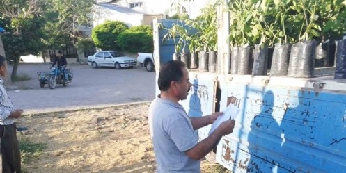 Çiftçilere 2 bin 600 adet ceviz fidanı dağıtıldı