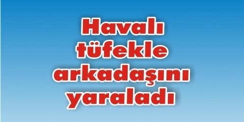Havalı tüfekle arkadaşını yaraladı