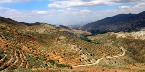 Ağaçlandırma ve Erozyon Kontrolü Çalışmaları