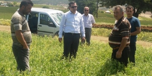 Afşin`de 