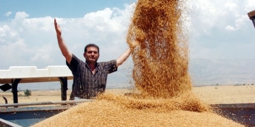 400 bin ton civarında ürün bekliyoruz 