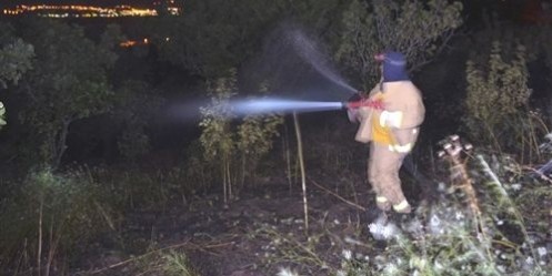 Orman Yangını Söndürüldü