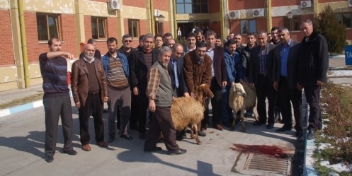 Termik santral için kurban kestiler 