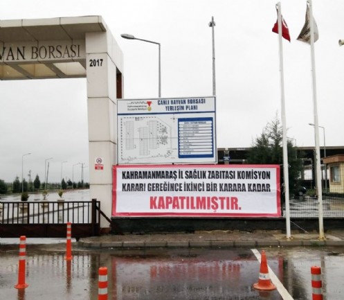 Hayvan Satış Yerleri Kapatıldı