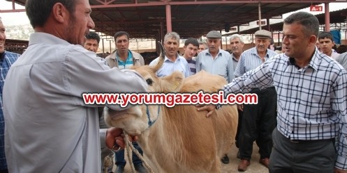 Bayramda Kalpazan Mağduru Olmayın