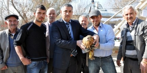 Yavru şahin tedavi altına alındı