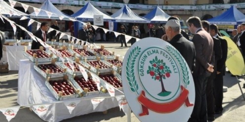 TKDK 4.Göksun Elma Festivaline Renk Kattı