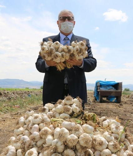     Pazarcık, Sarımsakta da
 Türkiye