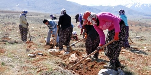 Elbistan`da ağaçlandırma çalışması 