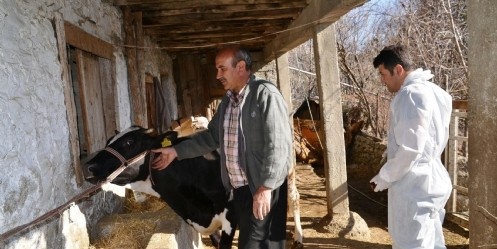 Kahramanmaraş`ta Hayvan Hastalığı Karantinası 