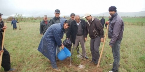 Afşin`de ağaçlandırma çalışmaları 
