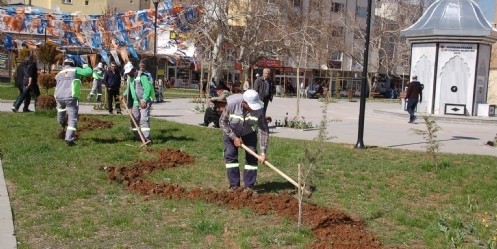 Afşin`i çiçeklendirme çalışması