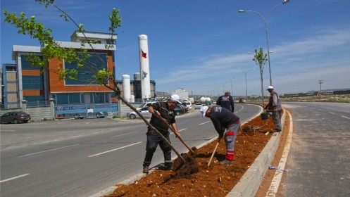 Büyükşehir