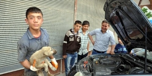 Köpek Kurtarma Operasyonu