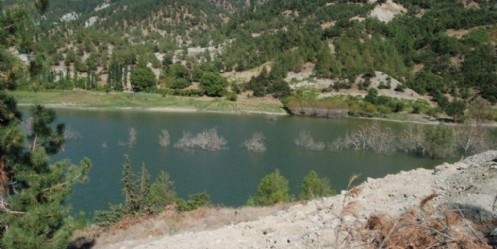 Serinlemek için girdiği gölette boğuldu