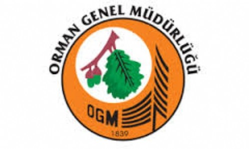 87 Aileye Dam Örtülüğü Dağıtıldı 
