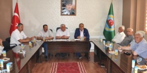 Hasat Zamanı