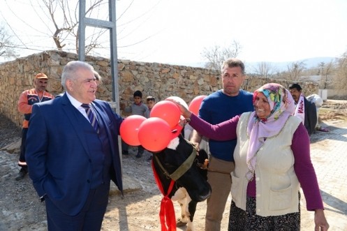 Torunlarının Eğitimi İçin Başbakandan İnek İstedi