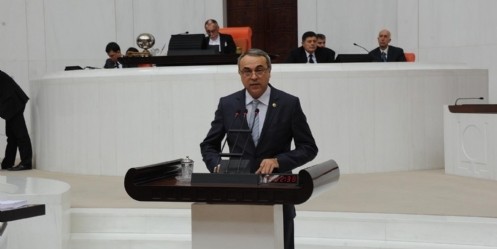 Dedeoğlu, Anadilde savunma Türkiye