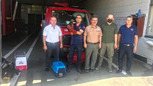 İtfaiye`den Duyarlı Vatandaşa Teşekkür