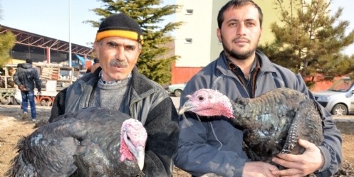 Hindiler pazara çıktı