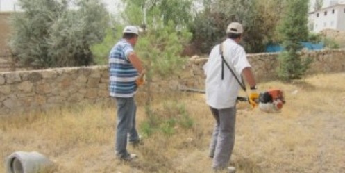 Mezarlık Alanlarında Ağaç Budama ve Temizlik