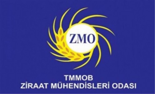 ZMO