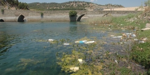 Vatandaşlar Doğayı Katlediyor