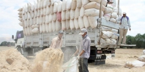 Kuraklık Saman Fiyatlarını Tavan Yaptırdı