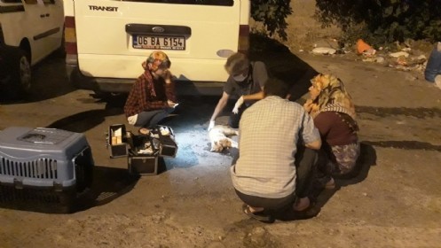 Büyükşehir