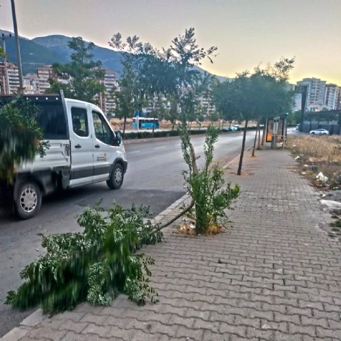 Büyükşehir Ekiplerinden Fırtına Mesaisi