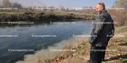 Havuzlardaki balık ölümleri araştırılıyor