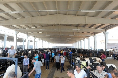 Kurban Satış, Kesim Yeri Ve Kesim Ücretleri Belirlendi