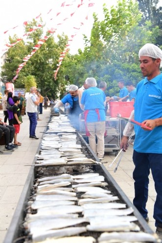 Balık Festivali Yoğun İlgiyle Gerçekleşti