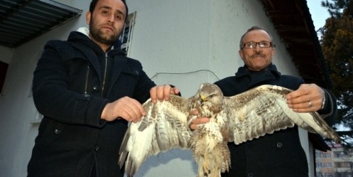 Yaralı kartala vatandaşlar sahip çıktı

