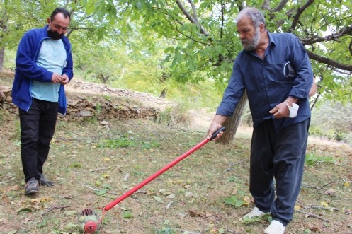 Patentli Efsus46 Cevizinin Hasadı Afşin`de Başladı!