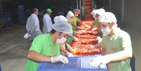 Mevsimlik Tarım İşçilerinin 