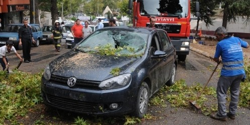 Çınar ağacı otomobilin üzerine devrildi